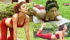 Hot Yoga Pics Of Shilpa Shetty