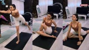 Rakul Preet Singh yoga Pic