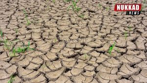 Data bank of barren lands in UP