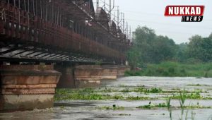 Yamuna river water in spate