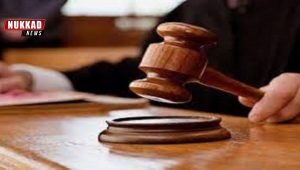 Bulandshahr: Seven culprits sentenced to five years 